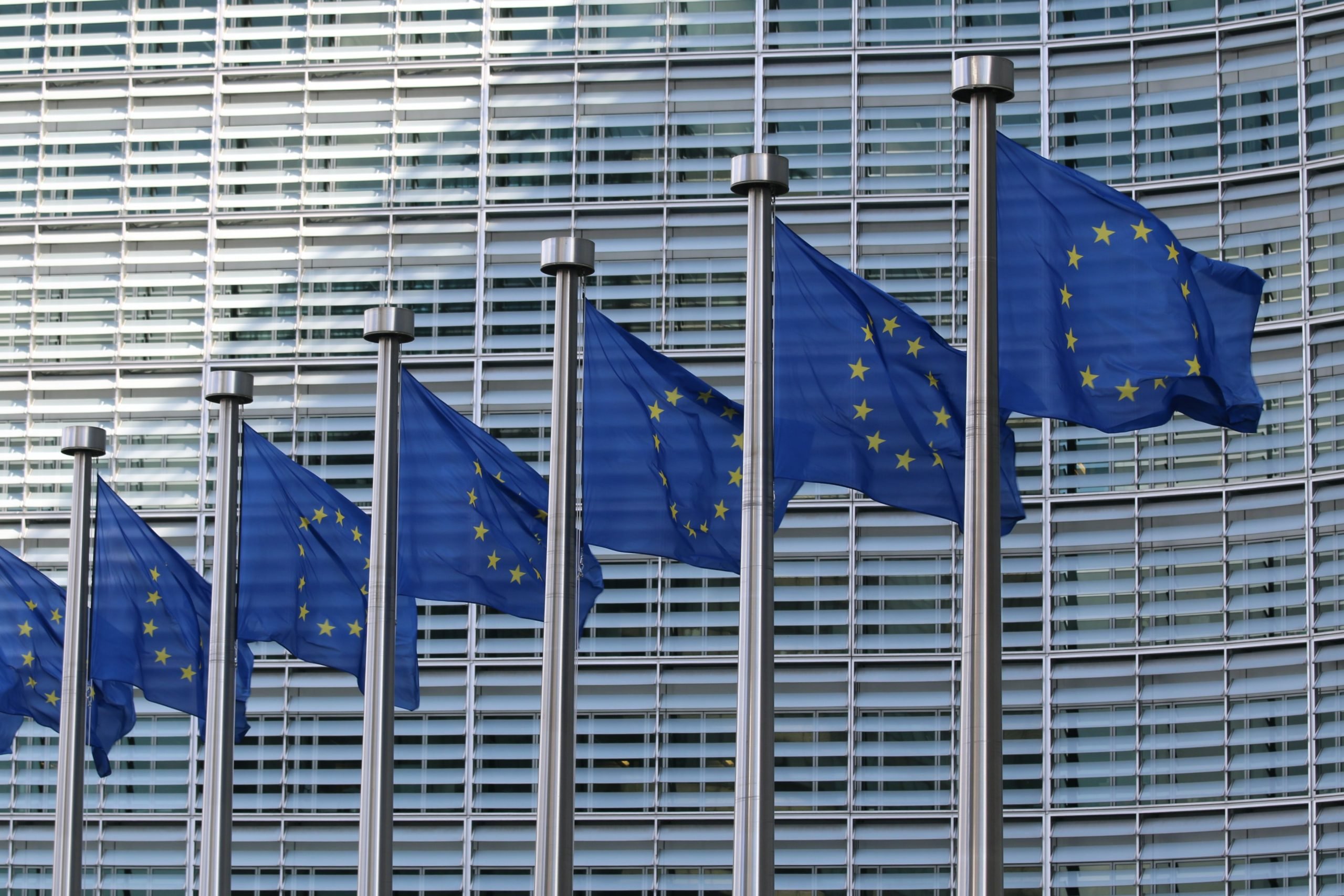 European Institute Calls for AI Act Amendments