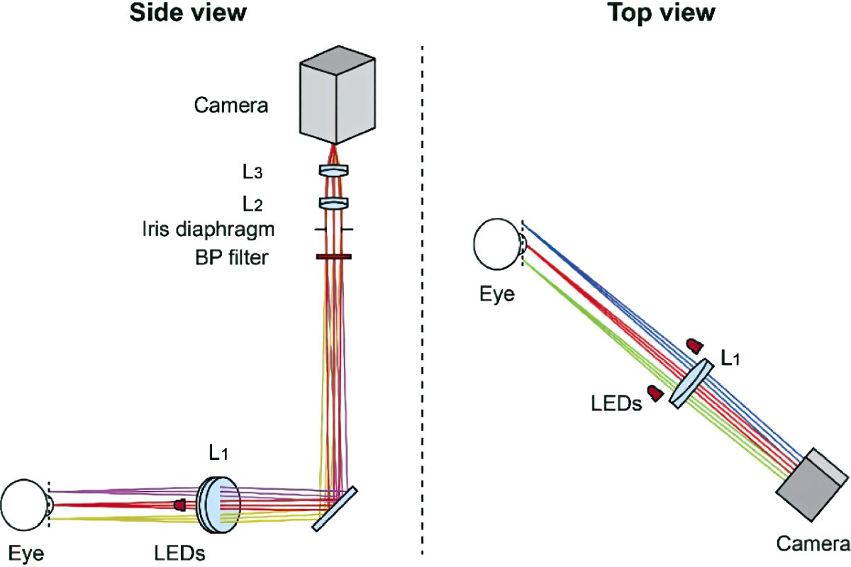 Fig 1-highres