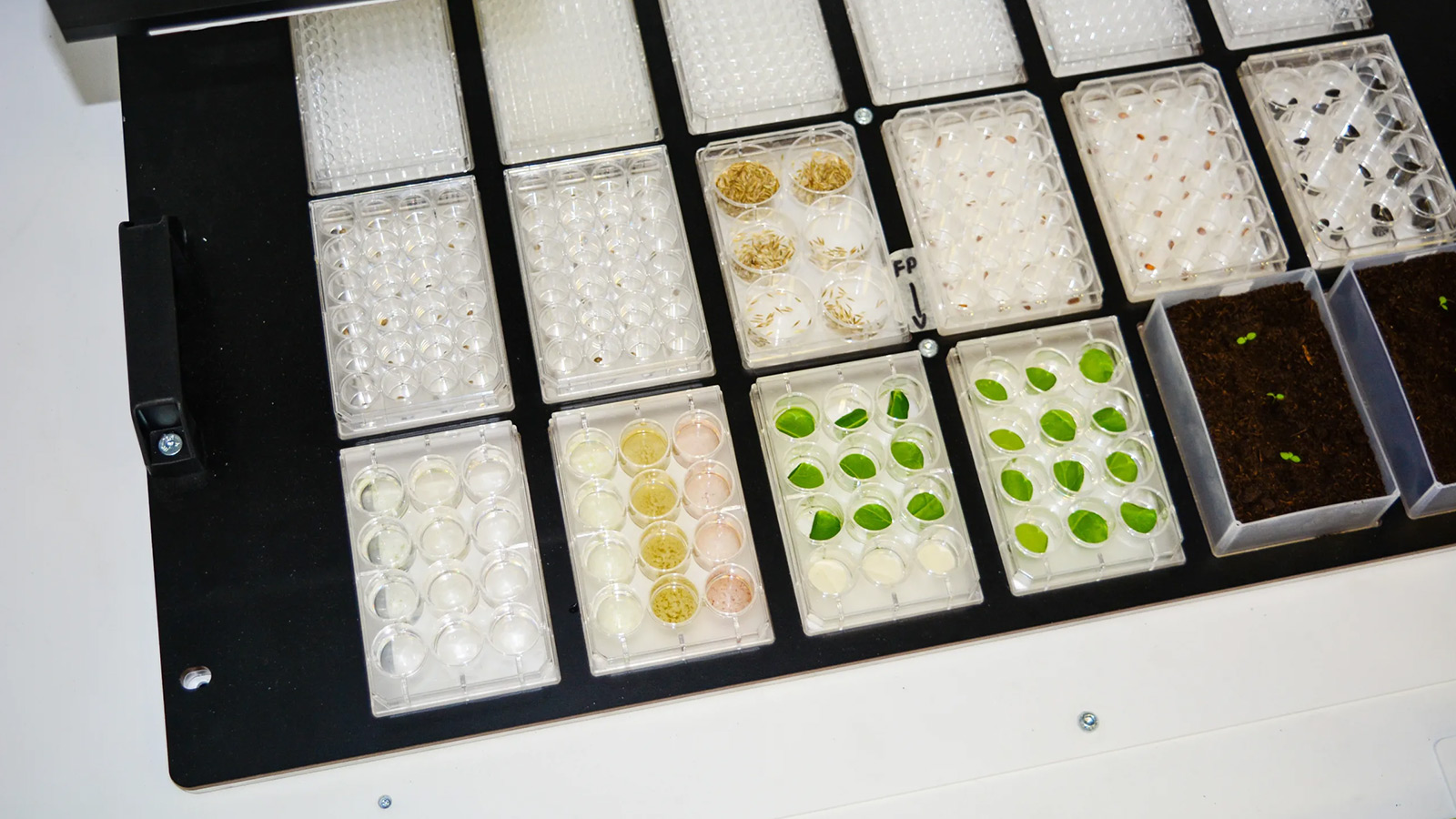 Grow Smarter with Hyperspectral-Powered Phenotyping Systems